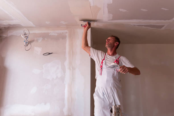 Best Fire-Damaged Drywall Repair  in USA